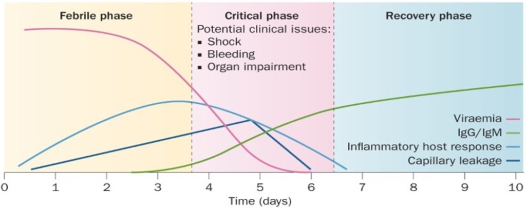 Dengue progression