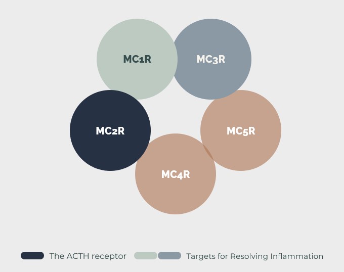 Melanocortin reseptors